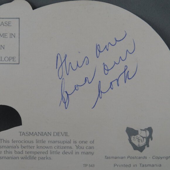 Vintage Postcard - Tasmanian Devil - Tasmanian Postcards - Picture 4 of 5